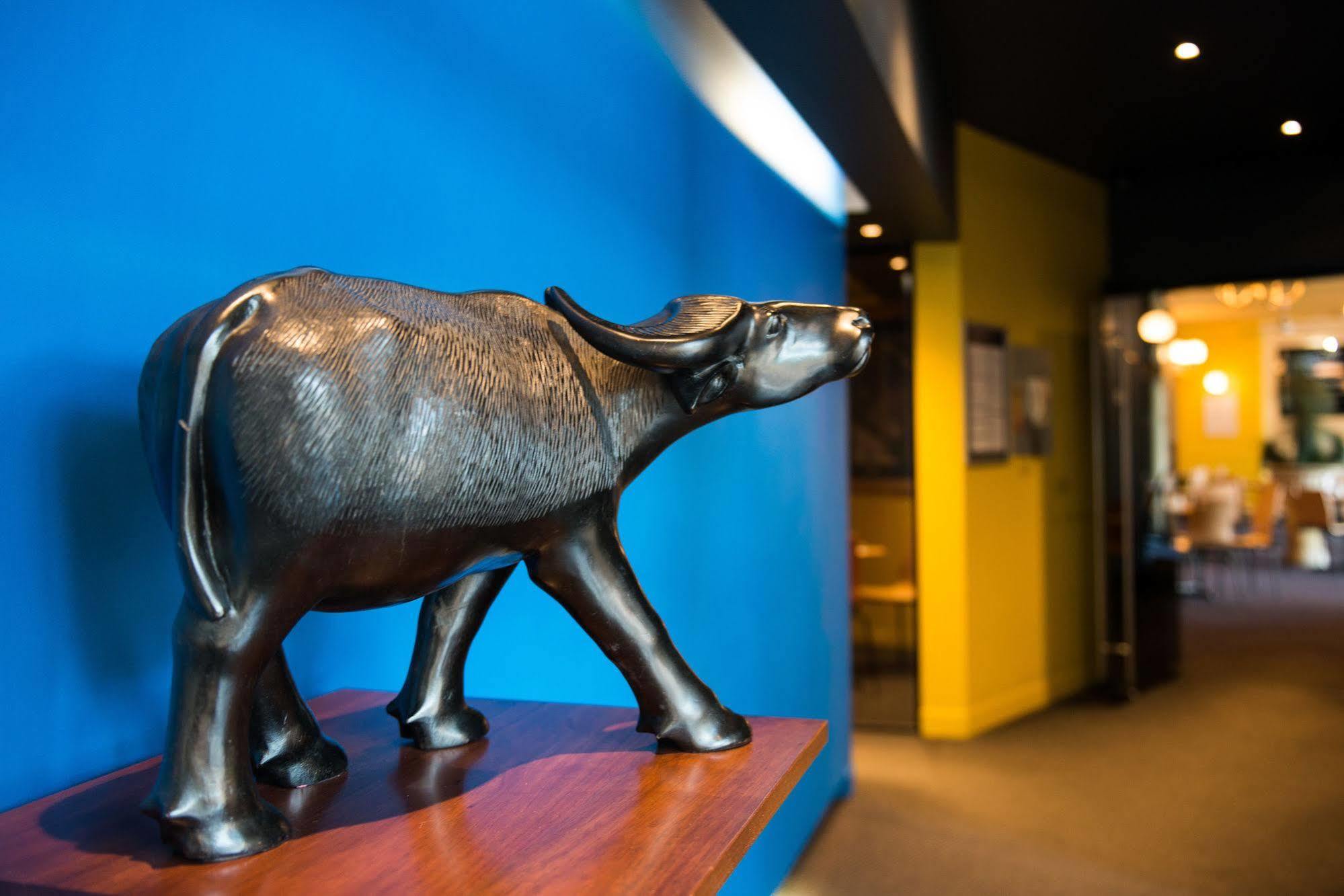 Black Buffalo Хобарт Экстерьер фото